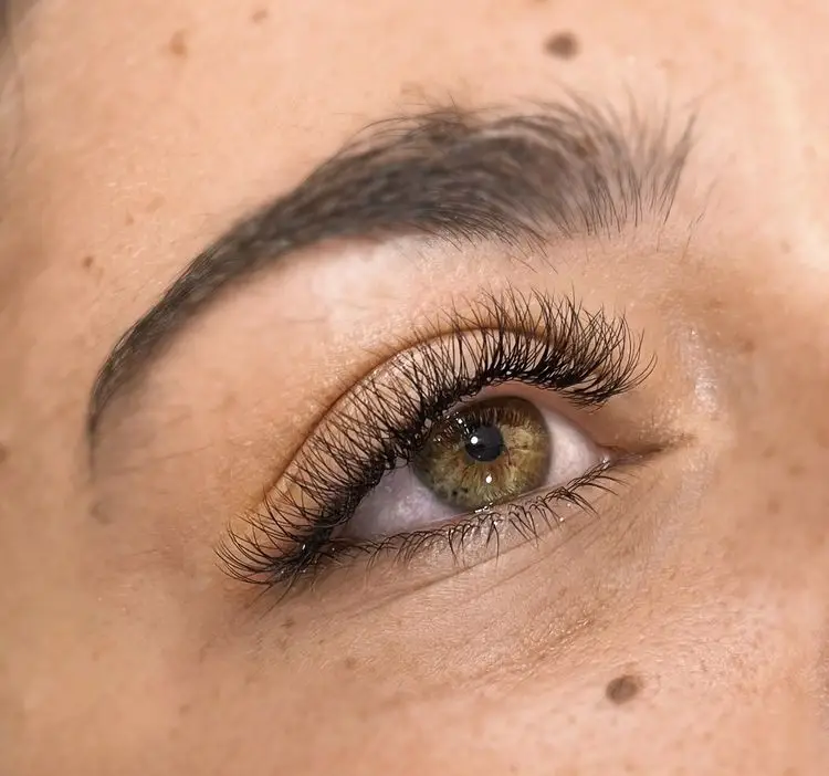 Extensions de cils pose 3D
