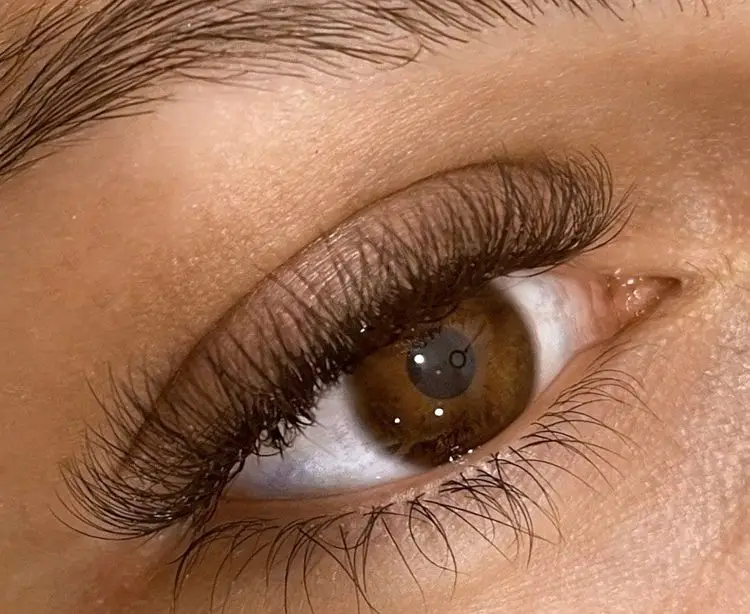 Extensions de cils pose 4D