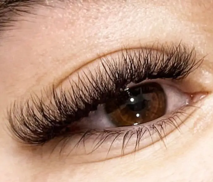 Extensions de cils pose 5D